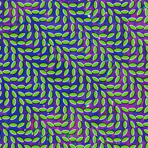 Наиболее доступная работой Animal Collective