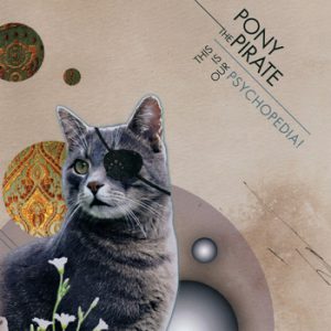 Pony The Pirate — This Is Our Psychopedia