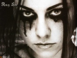 Обои Evanescence